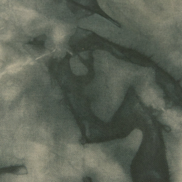 Image of 28 Count Monaco 20" x 24" Hand Dyed - Sage