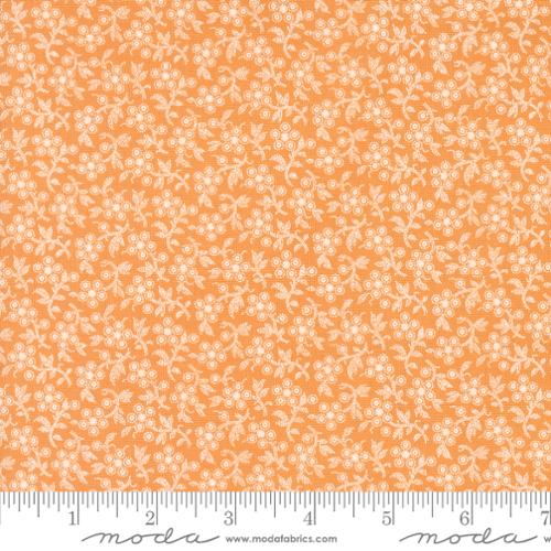 Image of 535386-14 Denim & Daisies - Butterscotch Bolt